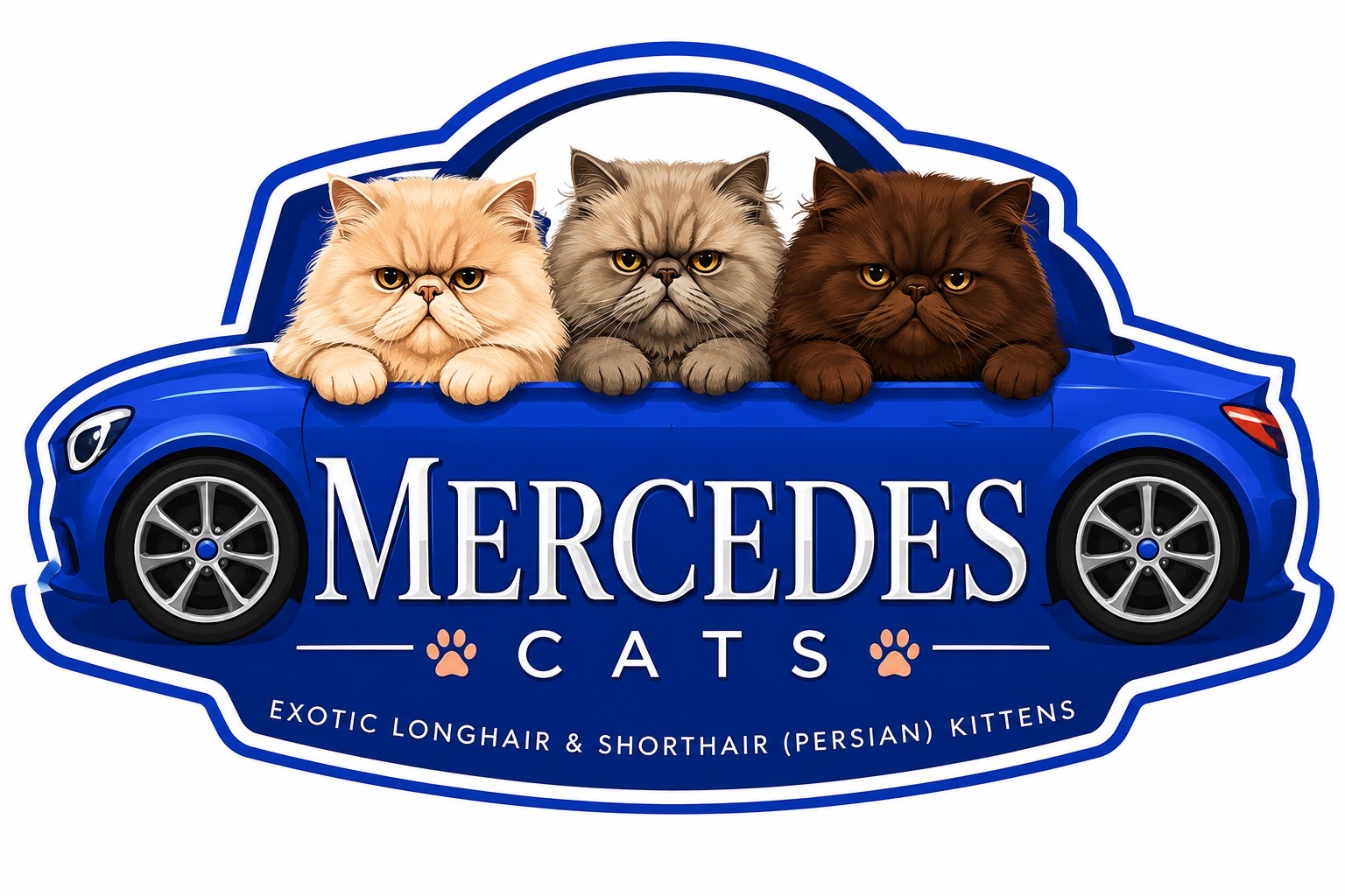 New Cat Logo
